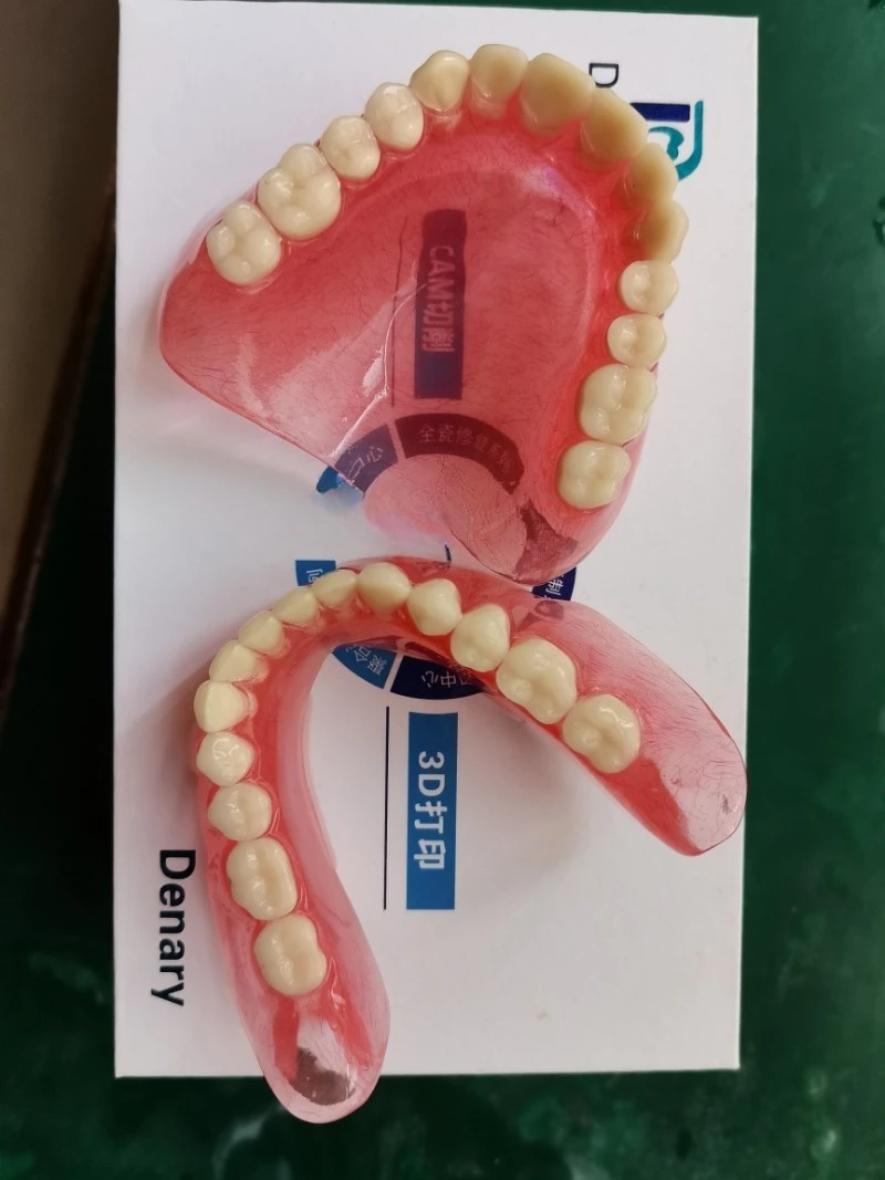 Complete Removable Full Denture Model Senior Edentulous Teeth Dental Teaching Demonstration Display Supply