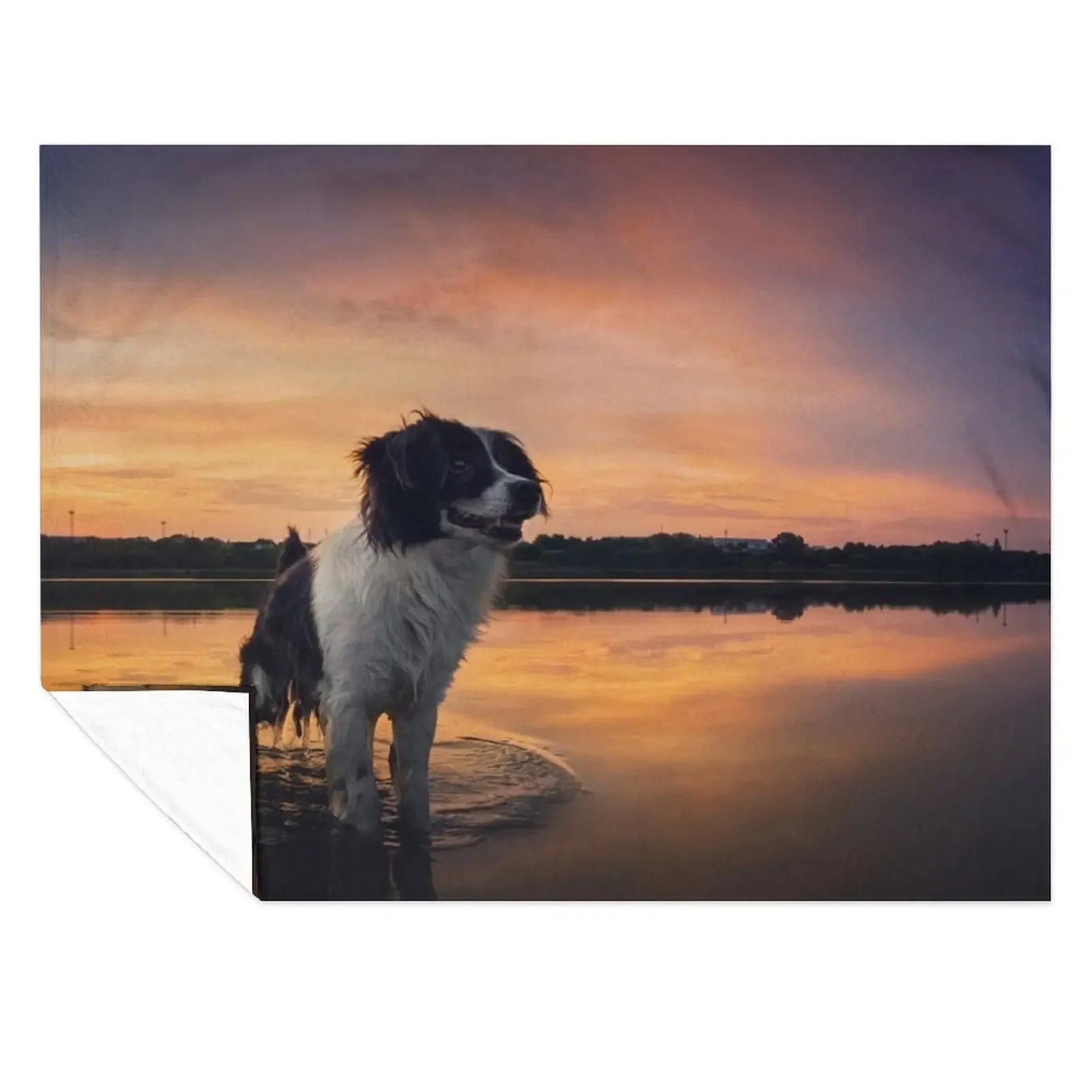 

beautiful dog at sunset Throw Blanket Comforter Luxury St funny gift Softest Blankets