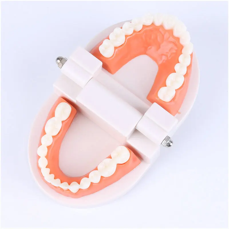 Montessori Educational Toys For Children Early Learning Kids Intelligence Brushing Tooth Teaching Aids Simulated Practical LifeT