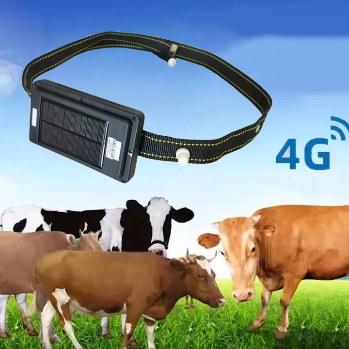 

Solar Power Tracking Device Pet Tracker Gps Charger Livestock Cattle Big Animal Cow Collar Electric Devices Guangdong factory