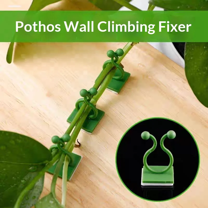 10/20Pcs Plant Climbing Wall Fixture Clips Self Adhesive Vine Fixer Hook Support Buckle for Garden Pothos