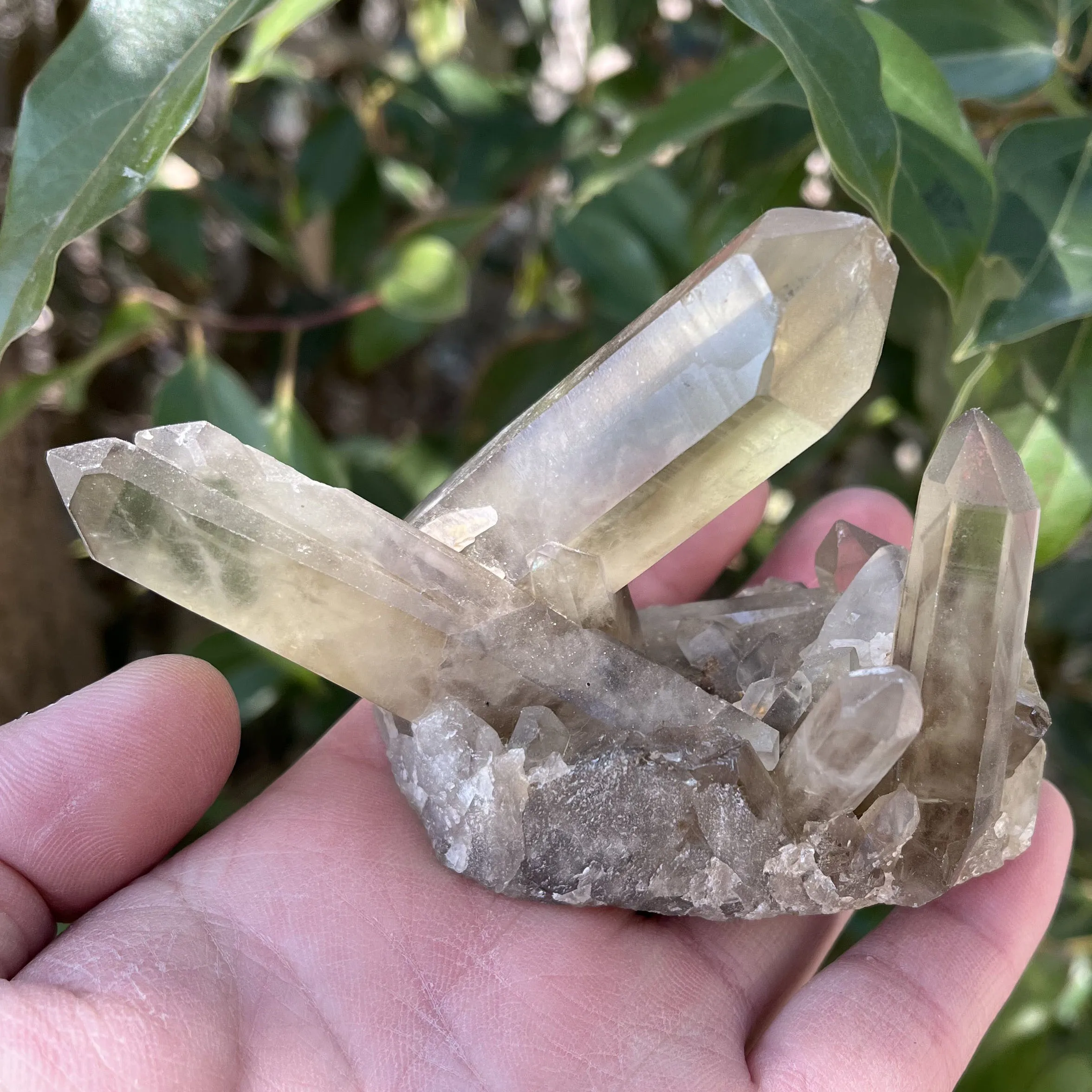 

Natural Citrine Mineral Ore Specimen Healing Group Crystal Cluster Wand Meditation Chakra Home Decoration