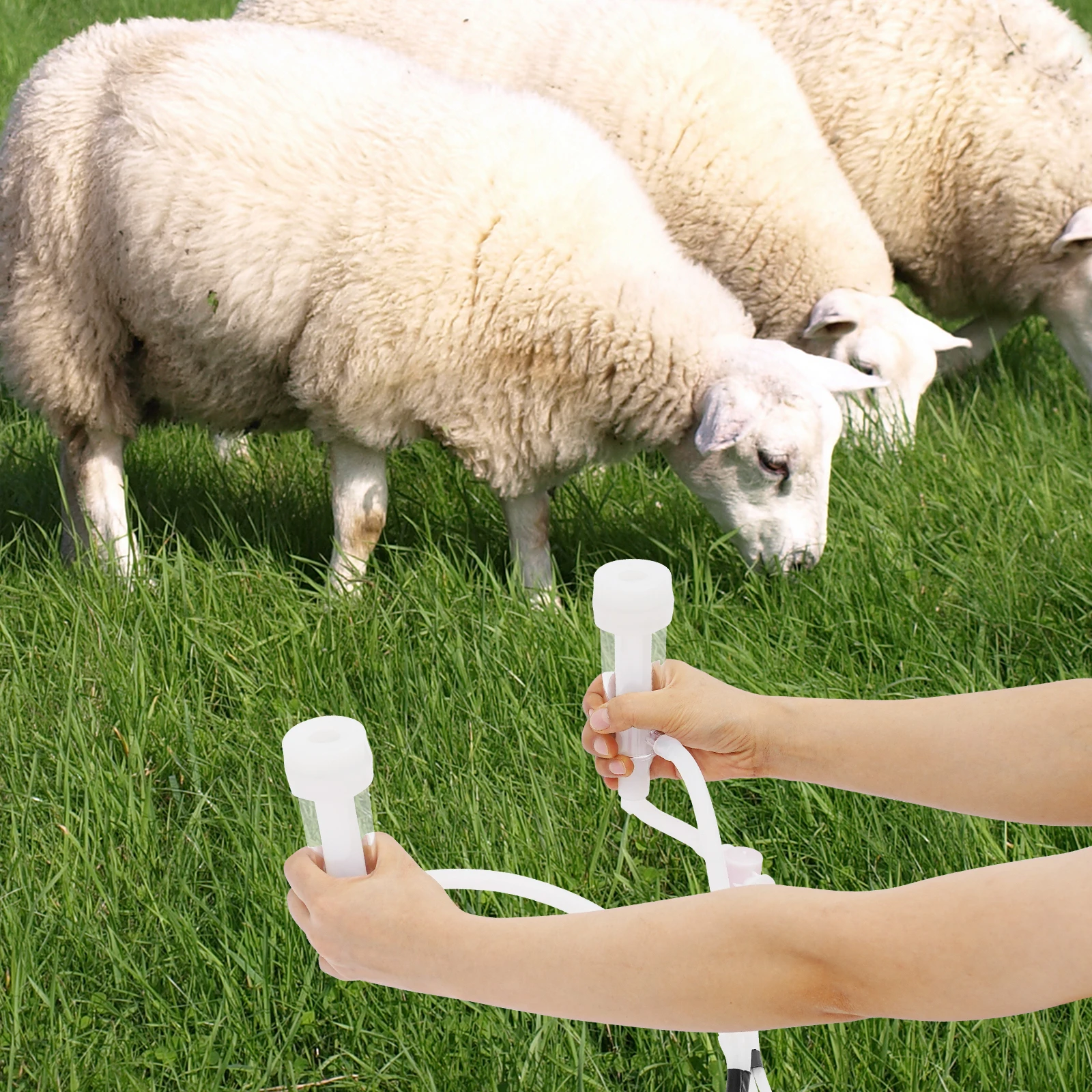 

Electric Milking Machine for Cows Goats Stainless Steel Bucket Portable Vacuum Milker for Small Farm Home Use