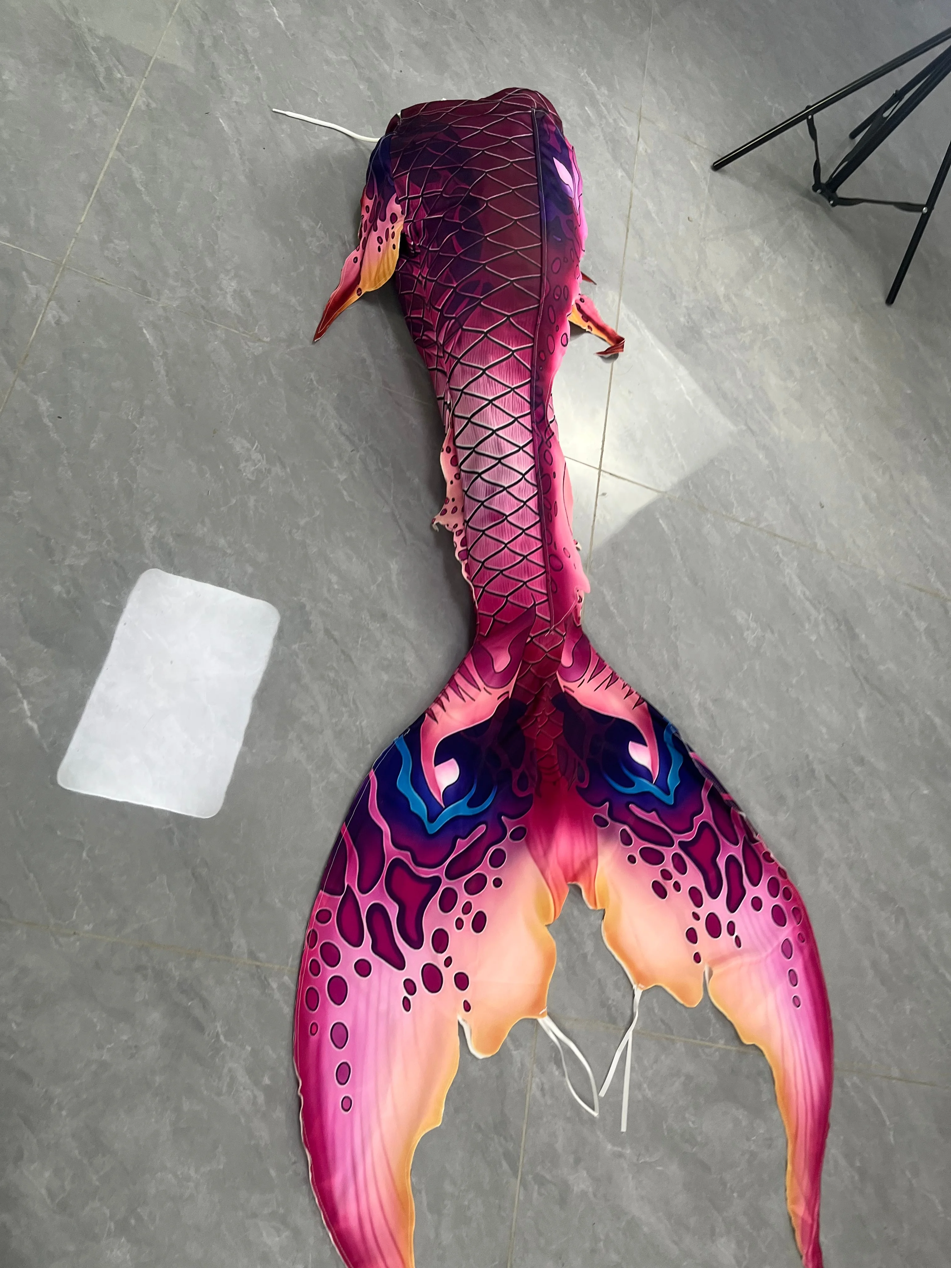 Purple Adult Mermaid Tail High - đánh giá và giá Aquarium & Marine Museum Universiti Malaysia Sabah Kota Kinabalu Sabah
