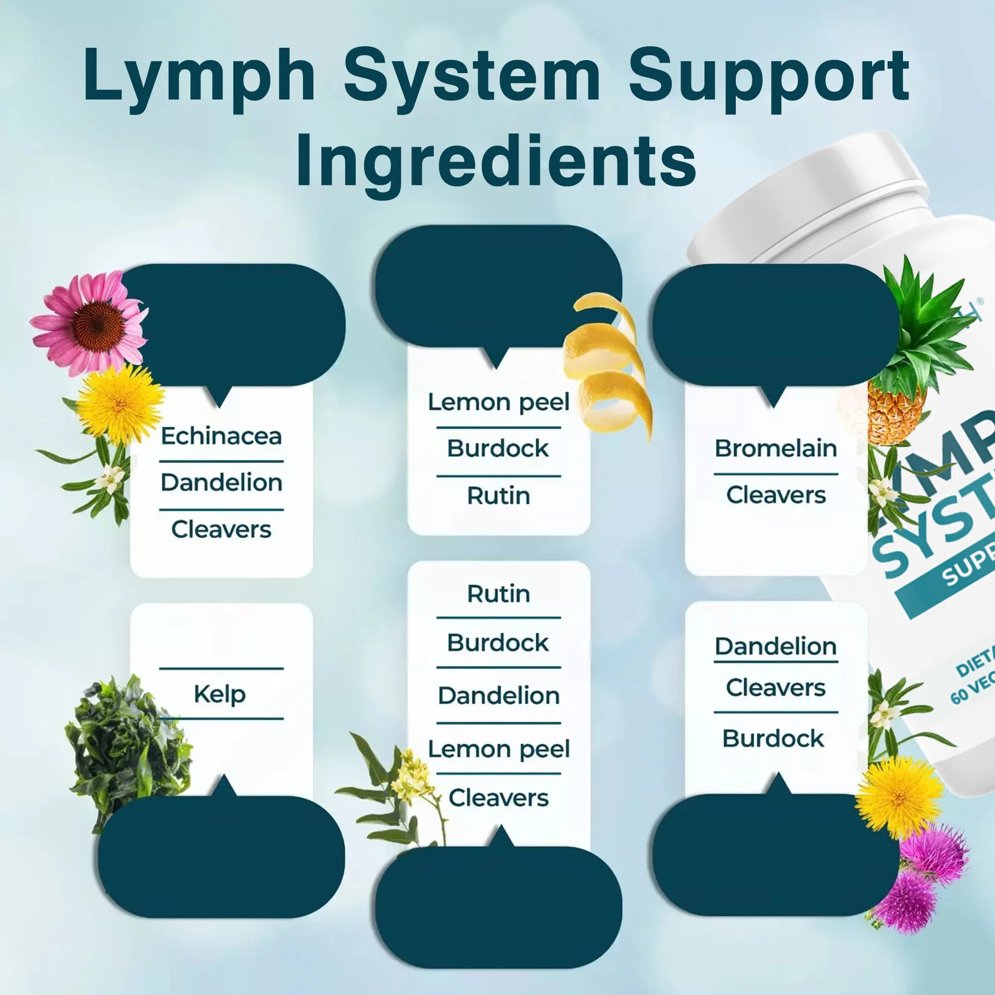 دعم الجهاز اللمفاوي - مع مستخلص الهندباء يدعم الجهاز اللمفاوي ويقلل التورم وينظف ويعزز المناعة #3