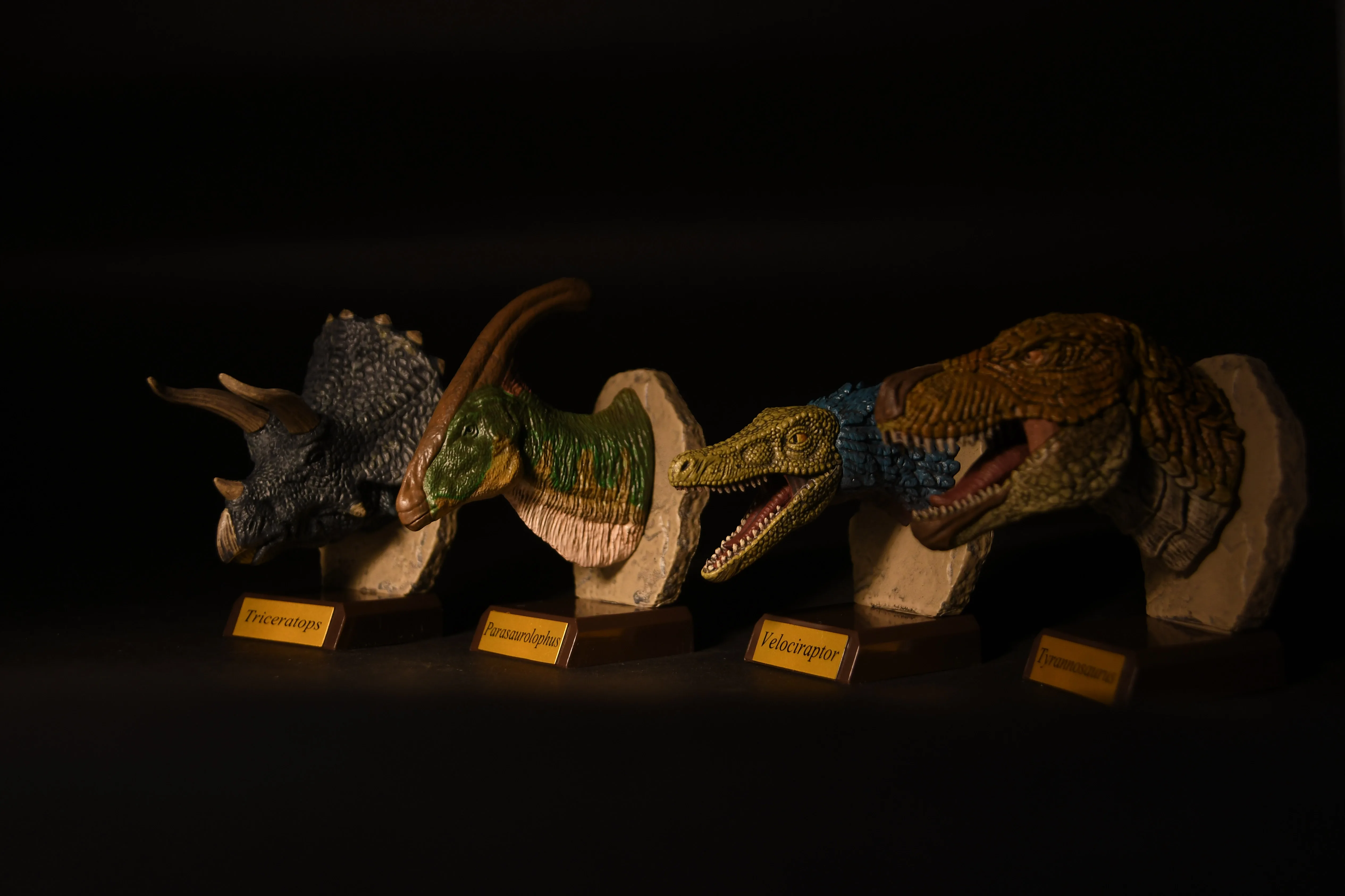 Qualia capsulespeelgoed Echte woeste Dinosaur Head Collection jachttrofee Triceratops Tyrannosaurus realistische ornamentenfiguren