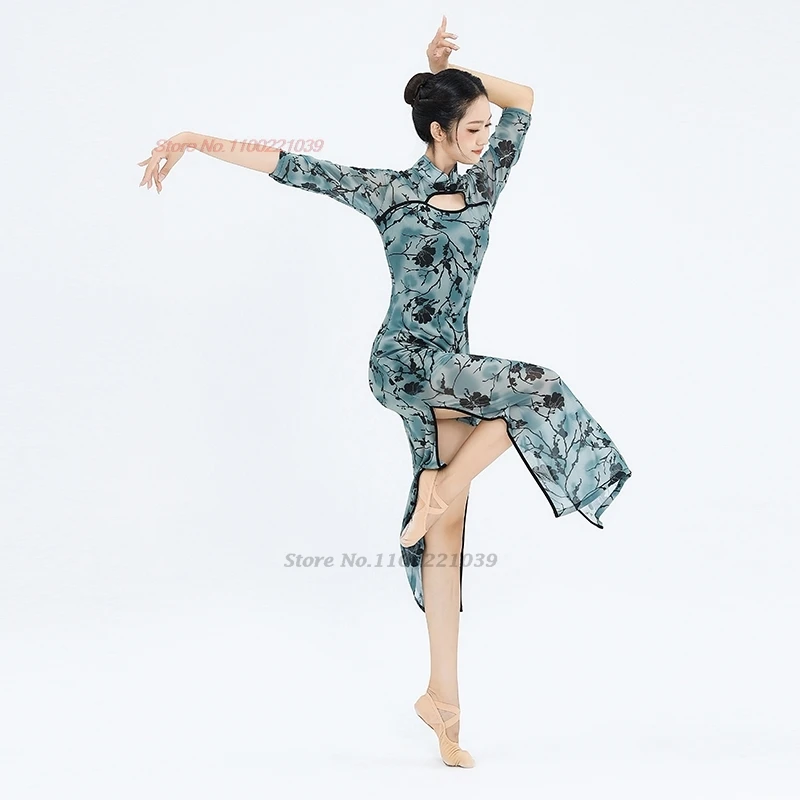 2025 traditional chinese vintage folk dress stage performance costume flower print mesh cheongsam dancer training exercise dress