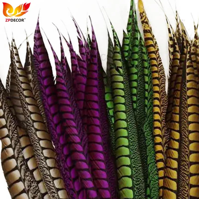 ZPDECOR 65-70cm 26-28 Inch Lady Amherst Pheasant Feathers Color Can Be Customized