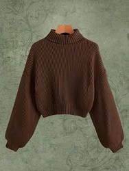 Fall/Winter 2024 fashion new outfit with a simple turtleneck pullover sweater