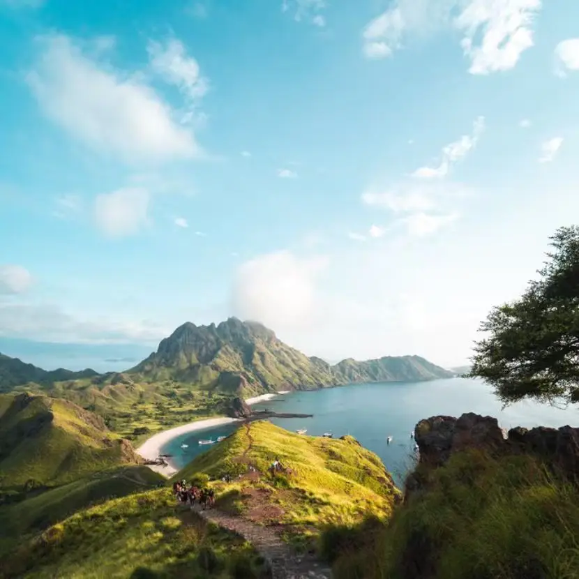 

EMS Новинка 15 Tesla 6500 Вт Hi-Emt MYOslim Портативная машина для похудения и похудения, гравировка тела, машина для скульптуры салона