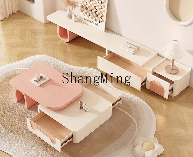 ZYYNew نموذج خزانة تلفزيون لغرفة المعيشة المنزلية، المشاهير على الإنترنت الحديثة بسيطة شقة صغيرة طاولة القهوة مجموعة خزانة أرضية التلفزيون #4