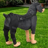 Dog Knee Brace For Torn ACL Hind Leg Adjustable Dual Back Leg Support Cloth Luxating Patella Ligament Injuries Osteoarthritis