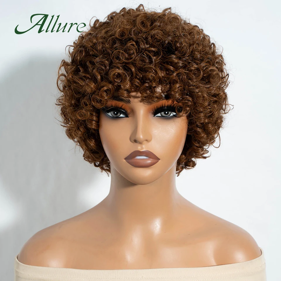 Afro Kinky Curly Hair Human Hair Wig Brazilian Pixies Cut Curly Hair Wigs For Black Women Dark Brown Colored Hair Wig Allure