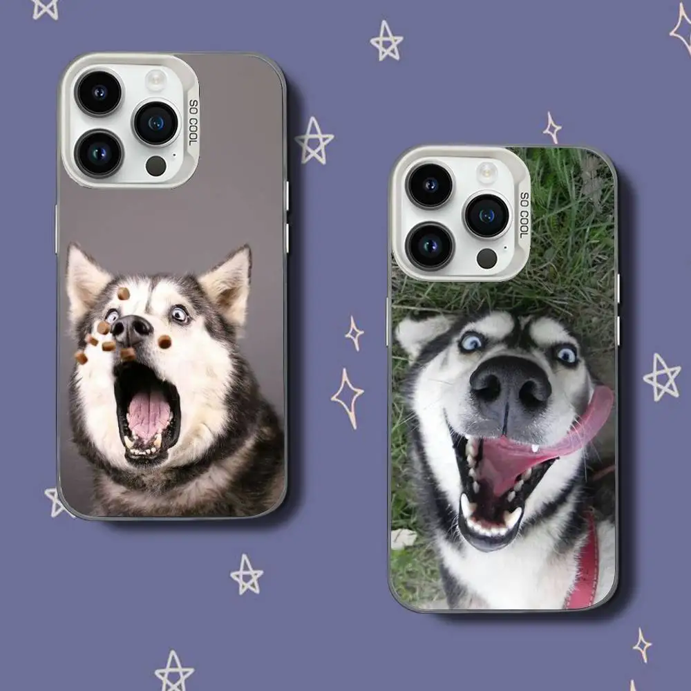 

Siberian H-Husky Dog Phone Case For iPhone 17,16,15,14,13,12,11,Pro,XS,Max,Plus,Mini,SE White Candy Matte Shockproof Cover