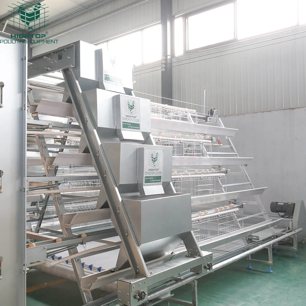 

Automatic Drinking Feeding a Type Layer Hen Cage System 3/4 Tiers Battery Poultry Chicken Cage for Ghana/Somaliland Market