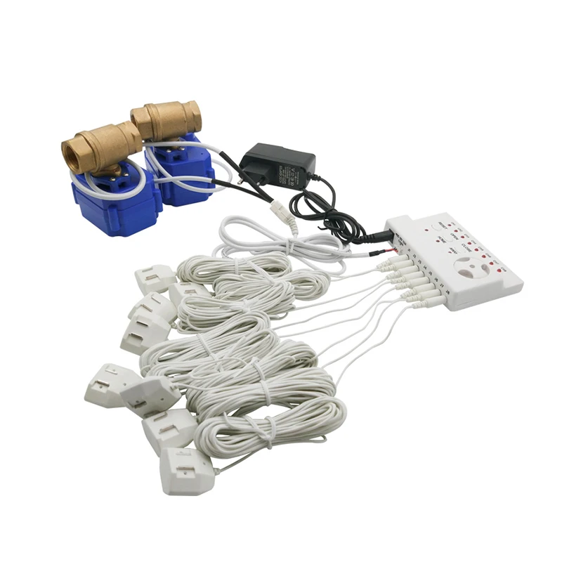 Unité de Contrôle d'Alarme de Fuite d'Eau WZ806, Capteur Jack, Protection Contre les Fuites d'Eau pour la Sécurité à Domicile, 8 Pièces