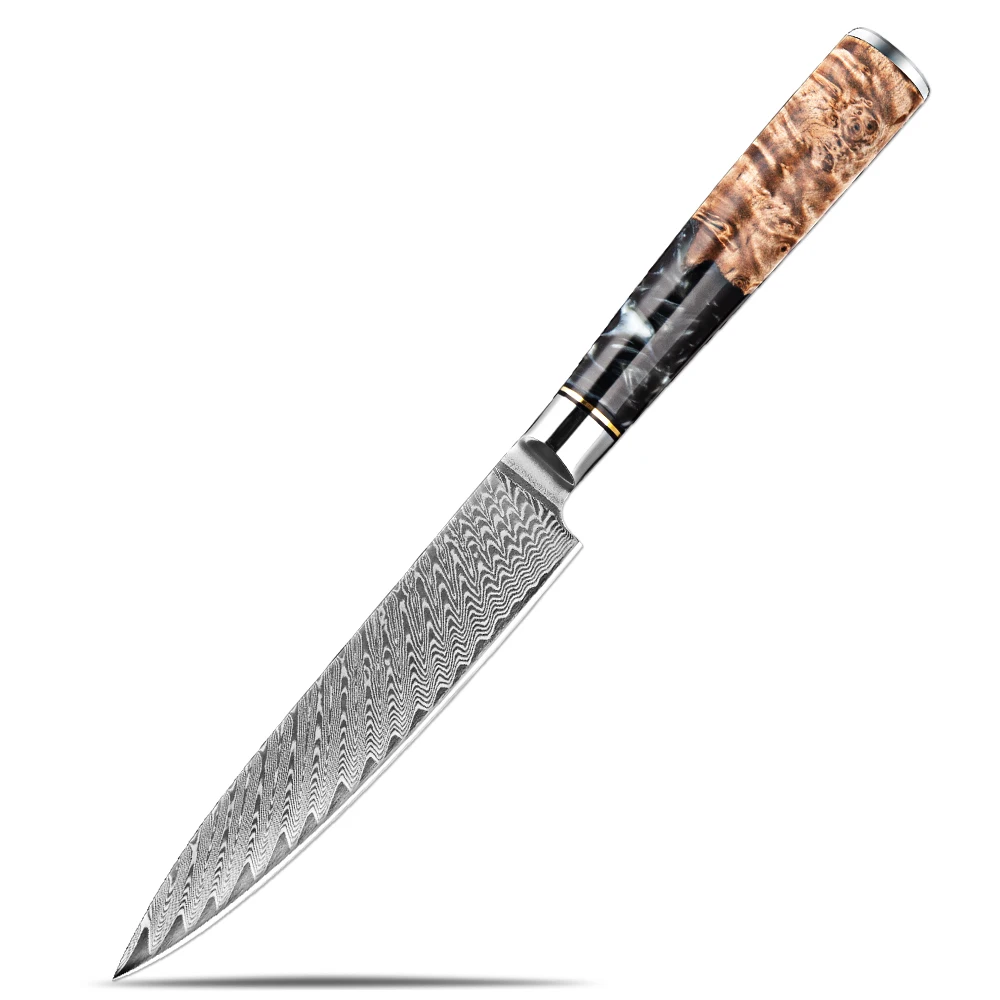 5 Inch Utility Knife Professional Chef Knife Fruit Knife High Quality 67-layer Damascus Steel Peeling Knife Black Resin Handle