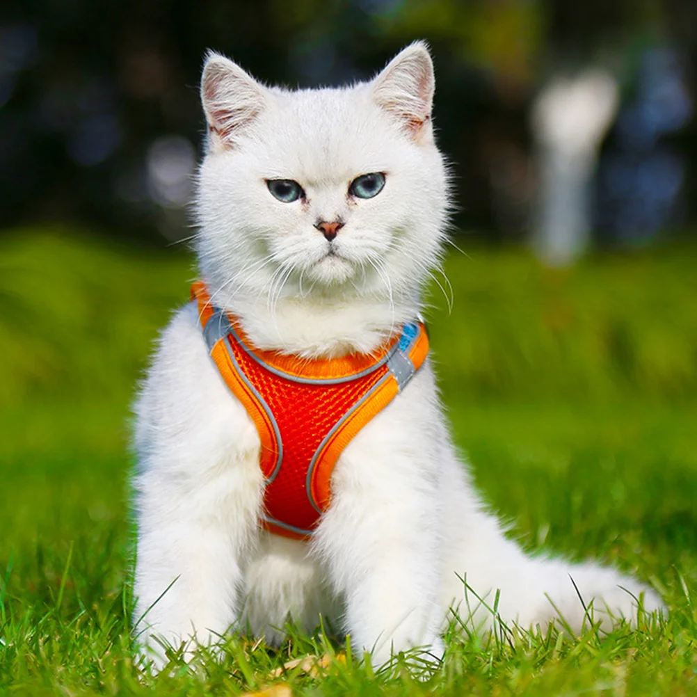 

Breathable Cat Vest Pet Kitten Harness Supplies Puppy Leash for Cats Reflective