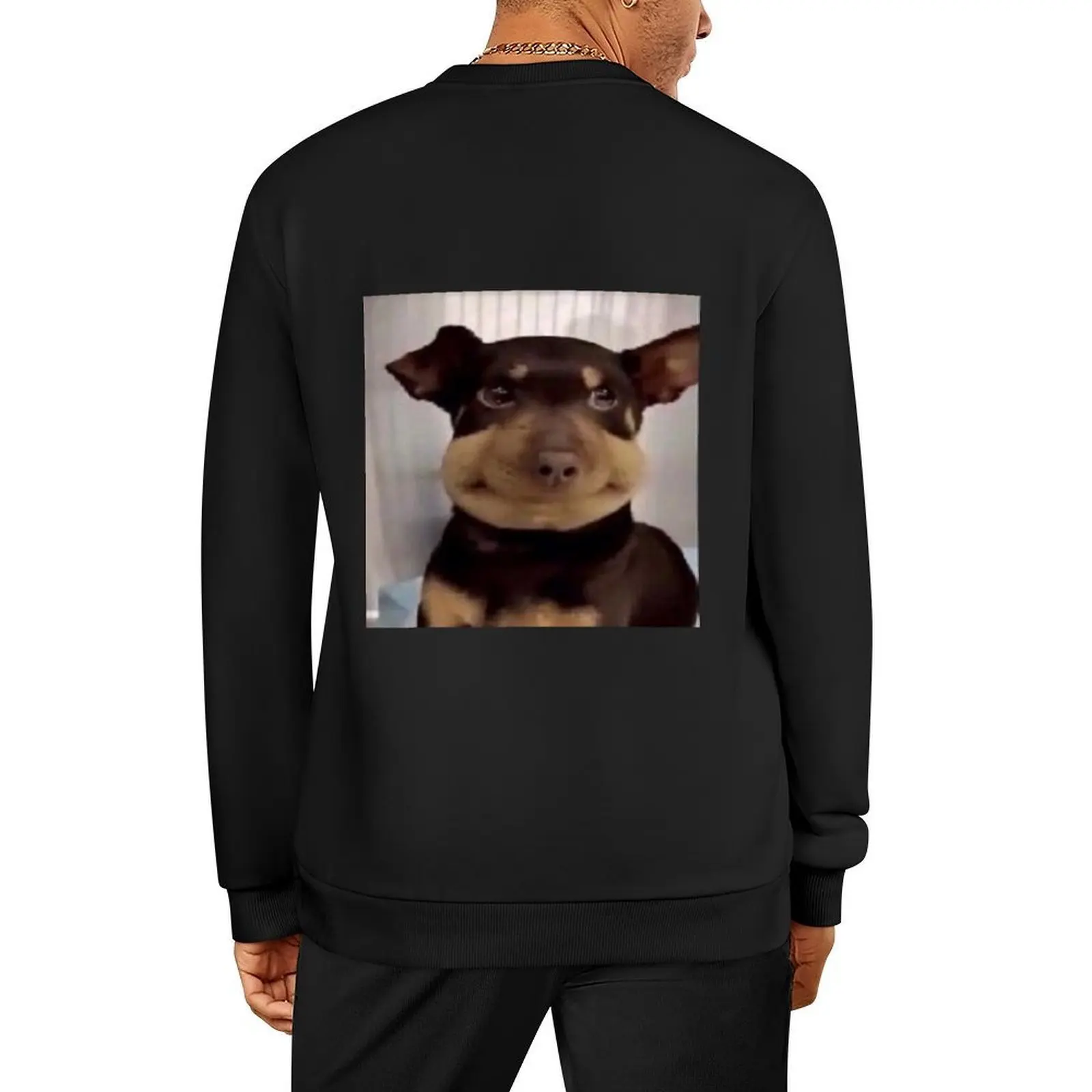 Figglebottom the Dog Pullover ملابس رجالي ملابس رجالية ملابس رياضية رجالية جديدة في هوديس وعرق قميص