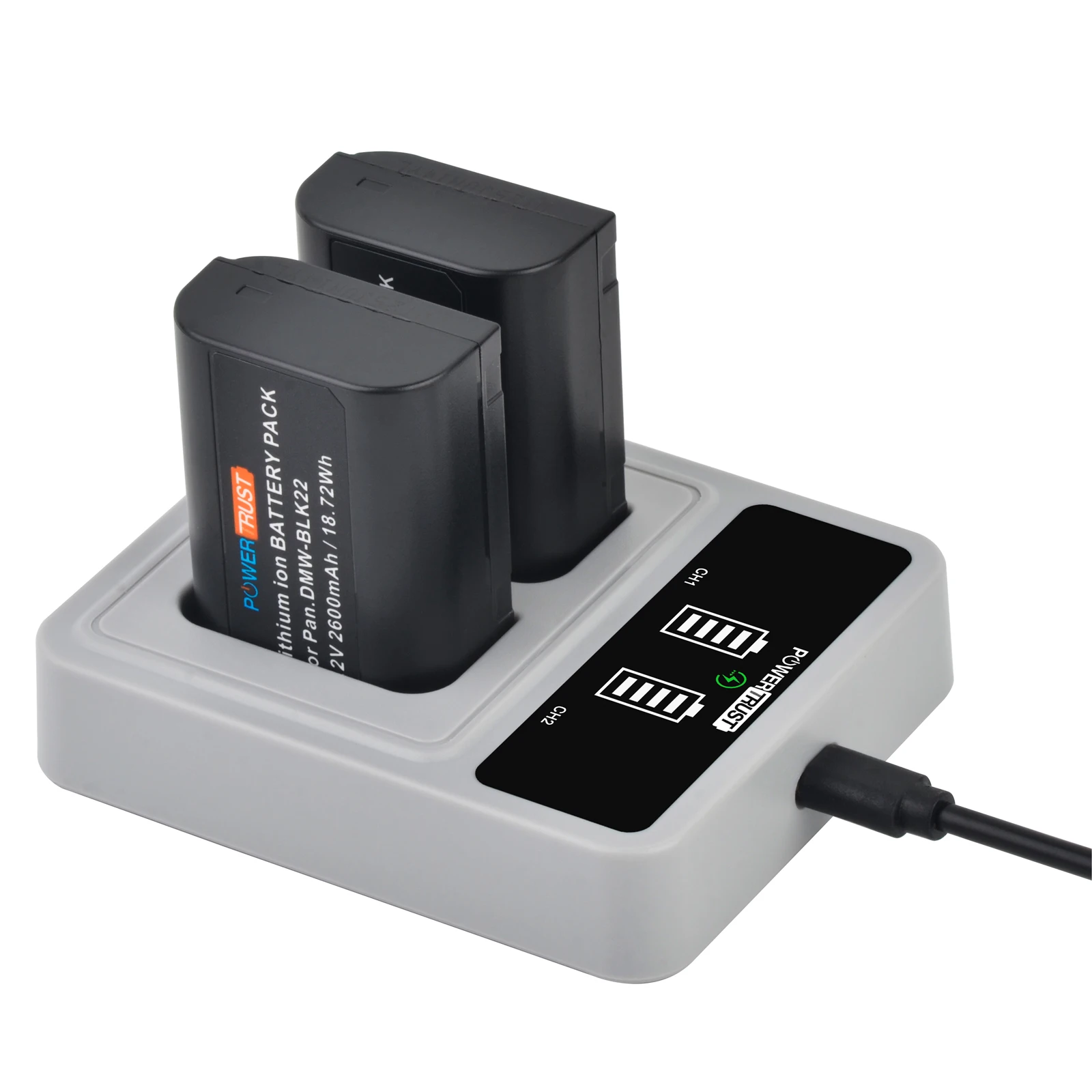 2600mAh DMW-BLK22 Bateria DMWBLK22 DMW BLK22 Battery for Panasonic Lumix S5M2 GH5M DC-S5 DCS5K S5II S5M2 IIX GH6 GH5 II S9 GH5LK
