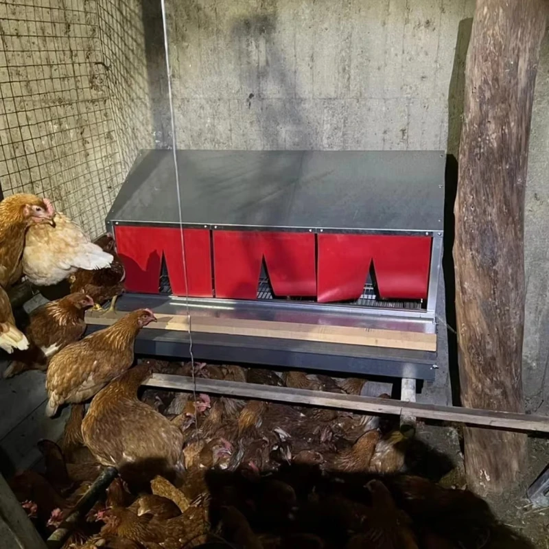 

The nest box laying hens launched the sale of chicken nest boxes for other animal husbandry equipment