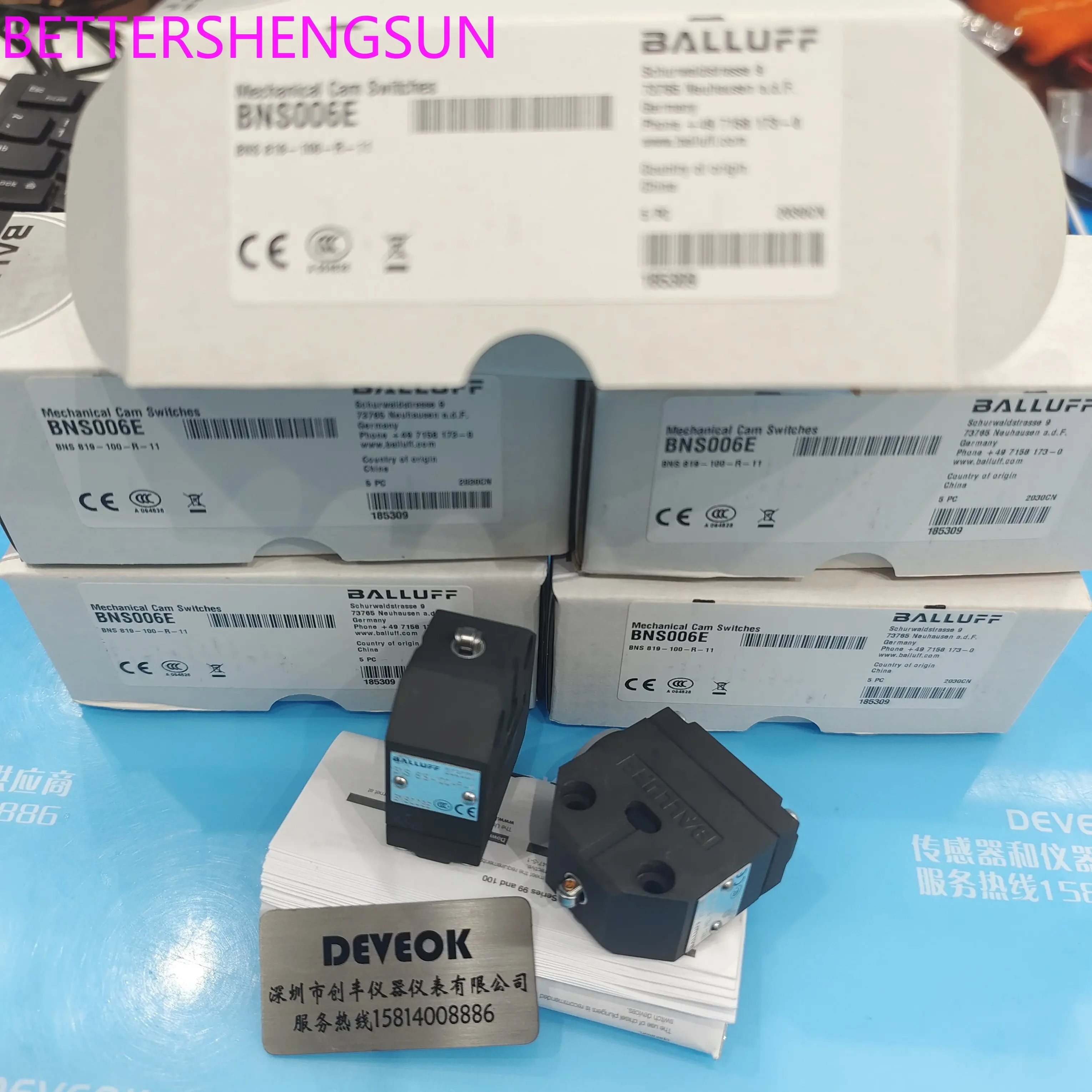 Limit switches BNS 819-100-R-11, BNS819