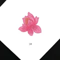 Fuschia