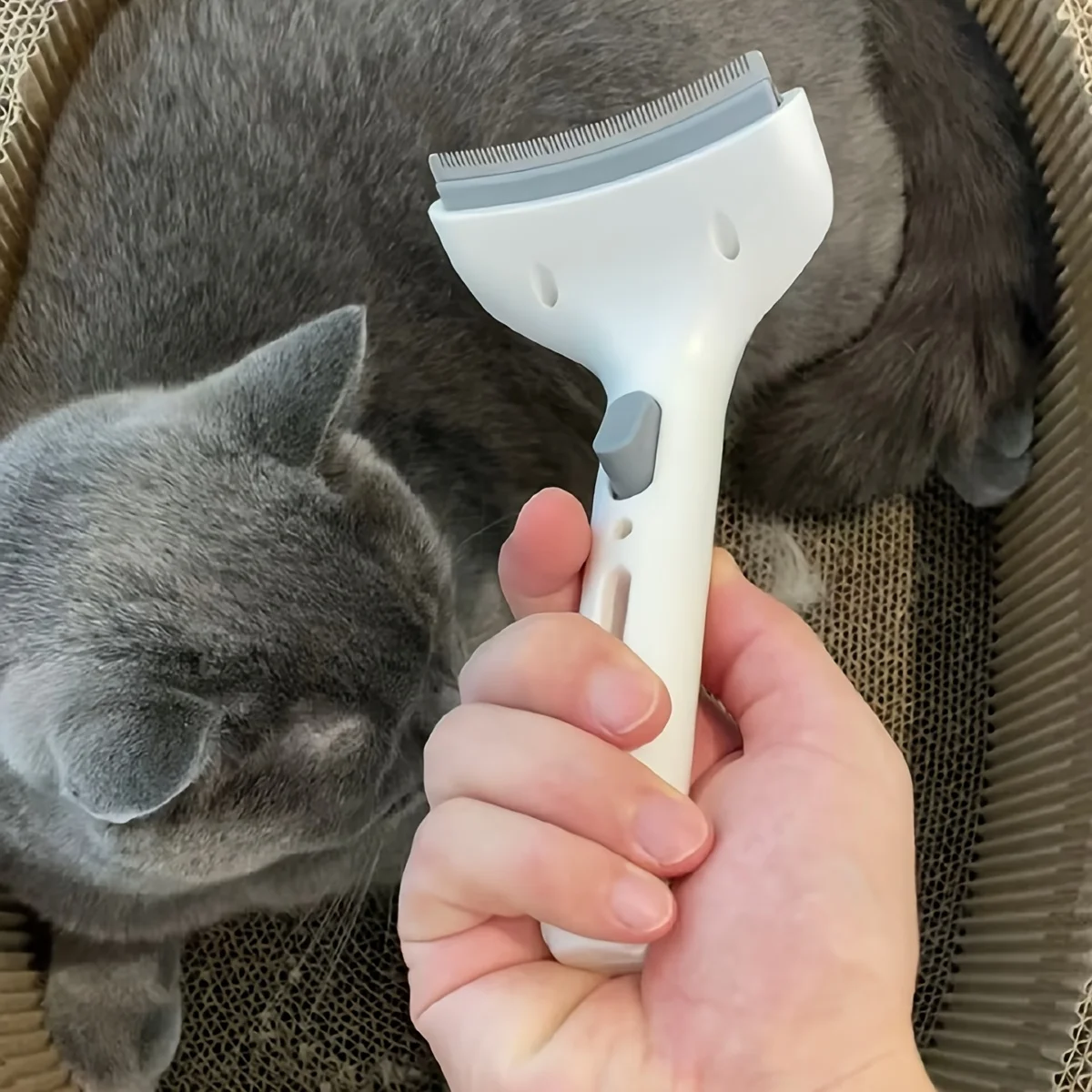 Image 5: 1pc Brosse à poils pour animaux de compagnie - Brosse à base large en forme d'arc, élimine facilement les poils lâches pour chiens et chats