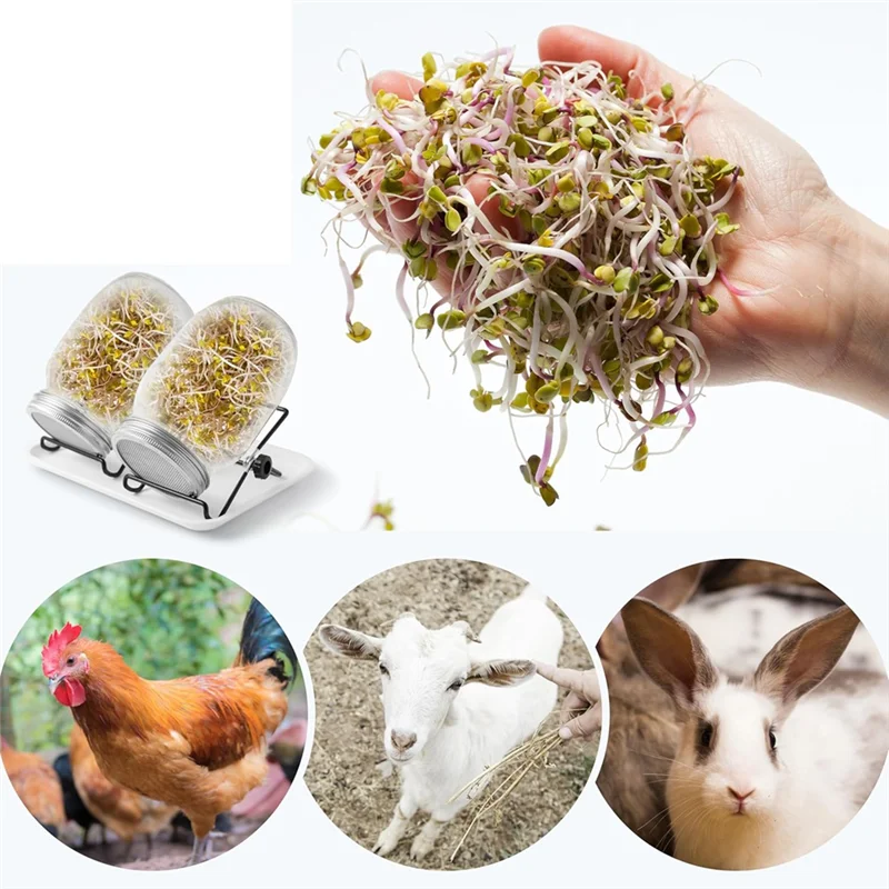 AT69 -Stainless Steel Mesh Sprouting Kit For Wide Mouth Mason Jars For Growing Broccoli Sprouts, Bean Sprouts, Sunflower, Etc