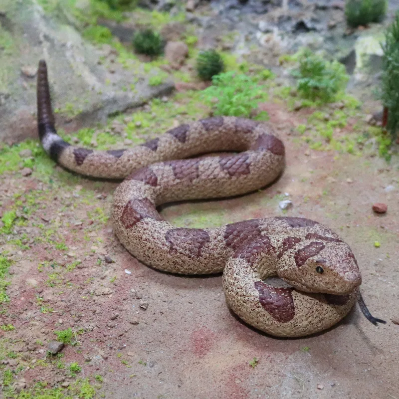 نموذج الأفعى الأصلي المقلد شخصيات الأفعال الجرسية الواقعية فايبر كوبرا مجموعة المطاط الناعم TPR لعبة مزحة الهالوين