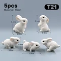5 piezas Rabbit-T21