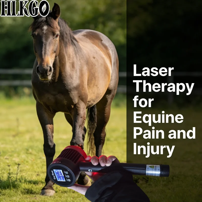 

Professional 5W Cold Laser for Diabetic Neuropathy, 650nm 19 Diodes 808nm 6 Diodes for Wound Healing Sports Injury Relief