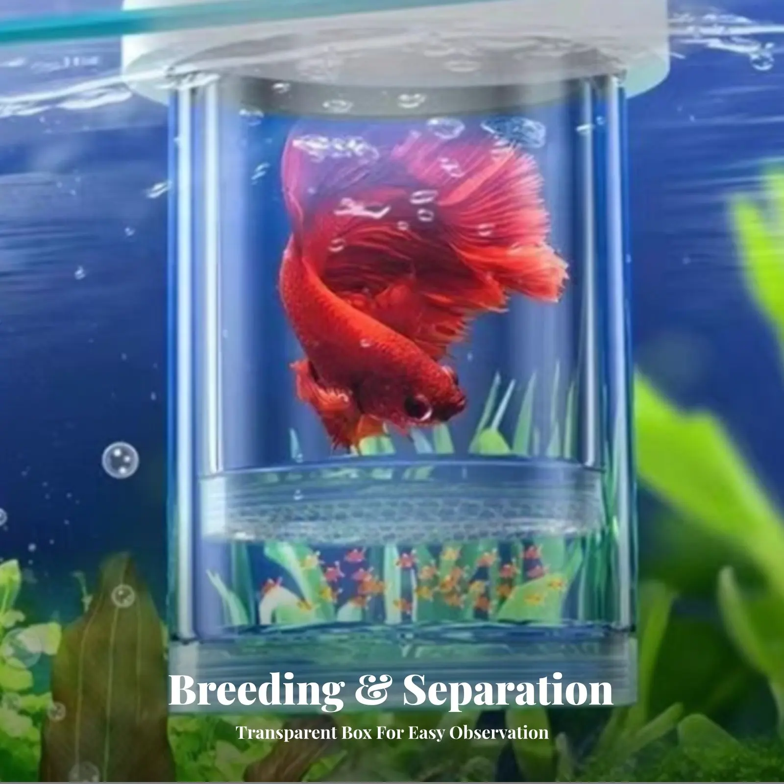

Плавающий бокс для разведения гуппи, легко моющийся, многофункциональный, для выращивания мальков