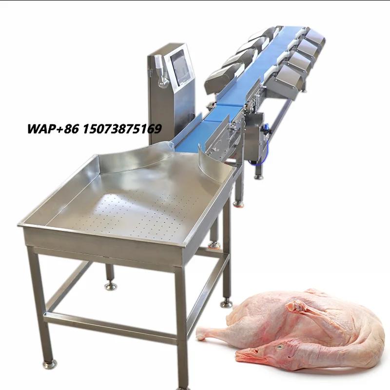 Dragon Fruit Elbow mango Poultry mango Squid Small Avocado Sorting Fish Weight Grading Machine Kehong KHFX-6 Low Noise