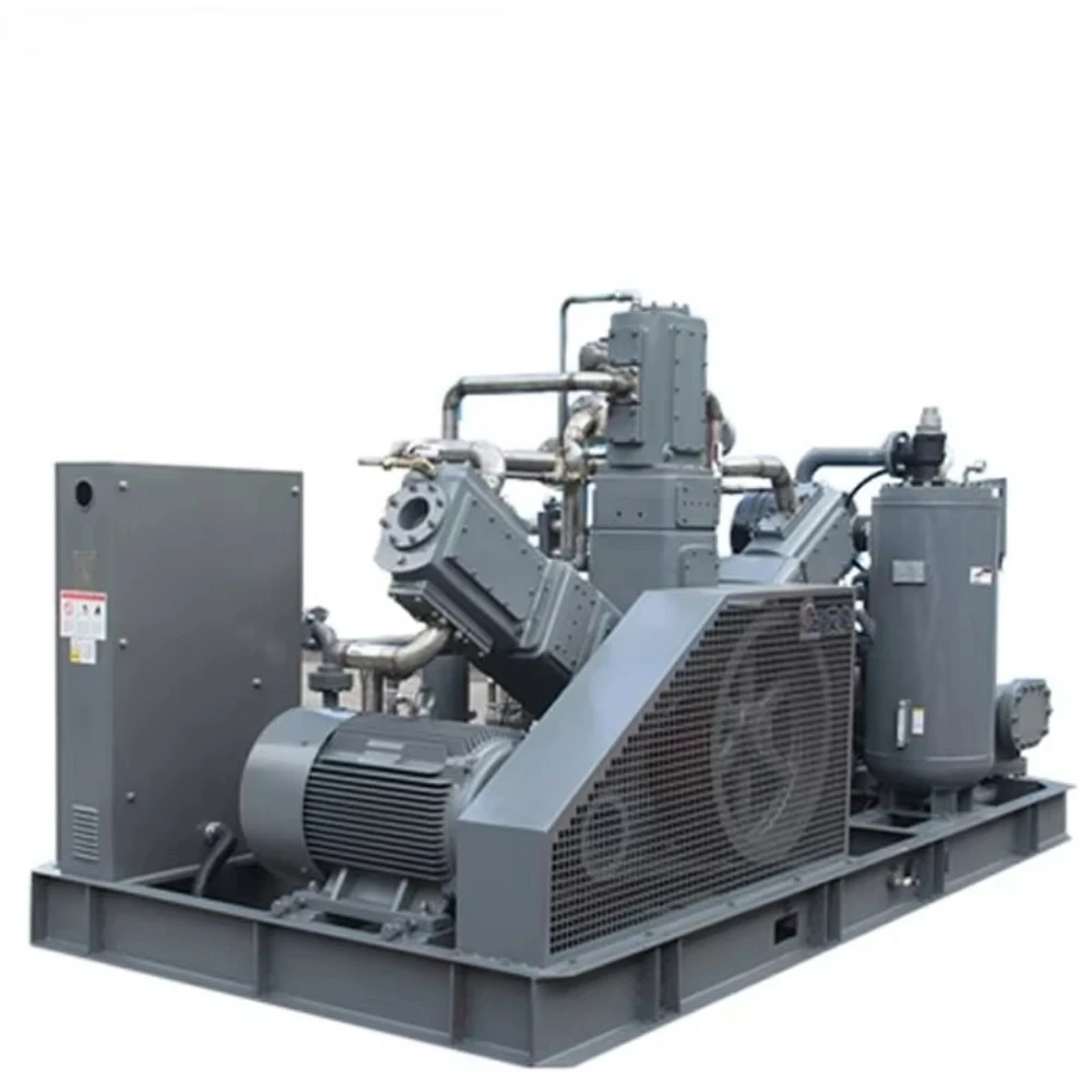 40bar High Pressure Pet Air Compressor for Bottle Blowing Compressor