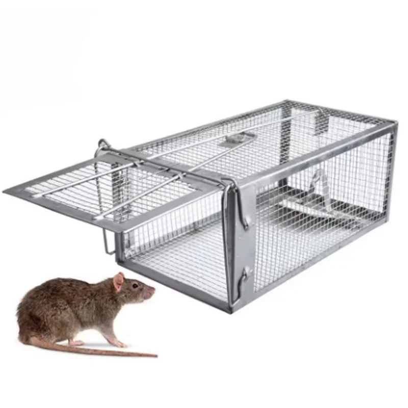 #33 Top Animal Traps Picks for Every Budget