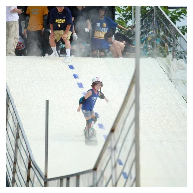 Summer Artificial Snow Sport Surface Dry Ski Slope
