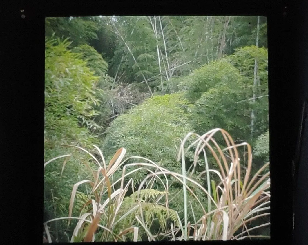 Imagem -05 - Proscope Nova Lente de Filtro uv para Rollei 35 t 35 te Rollei 35 se 24 mm 30.5 mm com Tampa