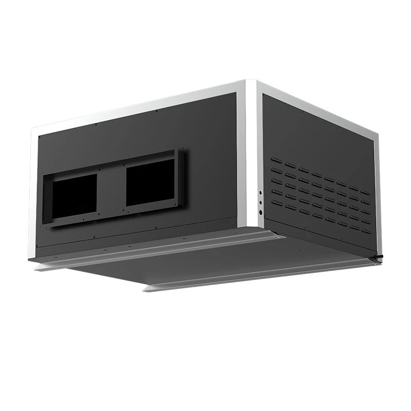 Ceiling dehumidifier automatic constant temperature intelligent defrosting large area dehumidifier