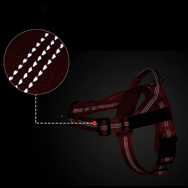 Thumbnail 4 - #87 Best Dog Harnesses to Buy In 2026