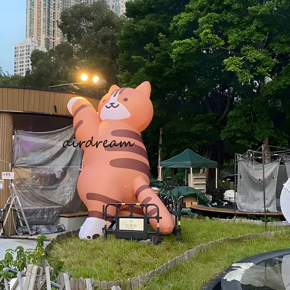 Globo inflable gigante de mascota Animal de gatito de soplado de aire de dibujos animados de gato con soplador edificio decoración al aire libre evento publicidad Pro