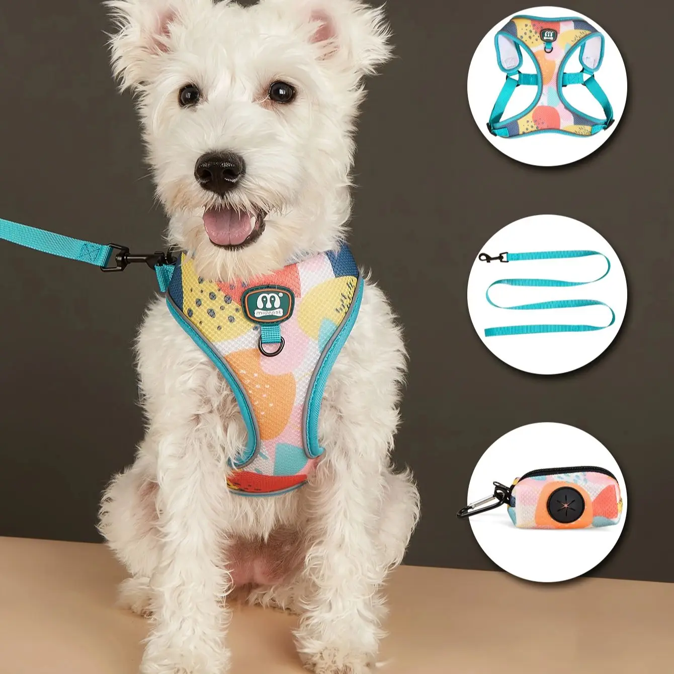 3Pcs/Set Cute Print Adjustable Luxury Design Pet Harness&Leashes&Poop Bag Holder For The Cat And Dog Walking