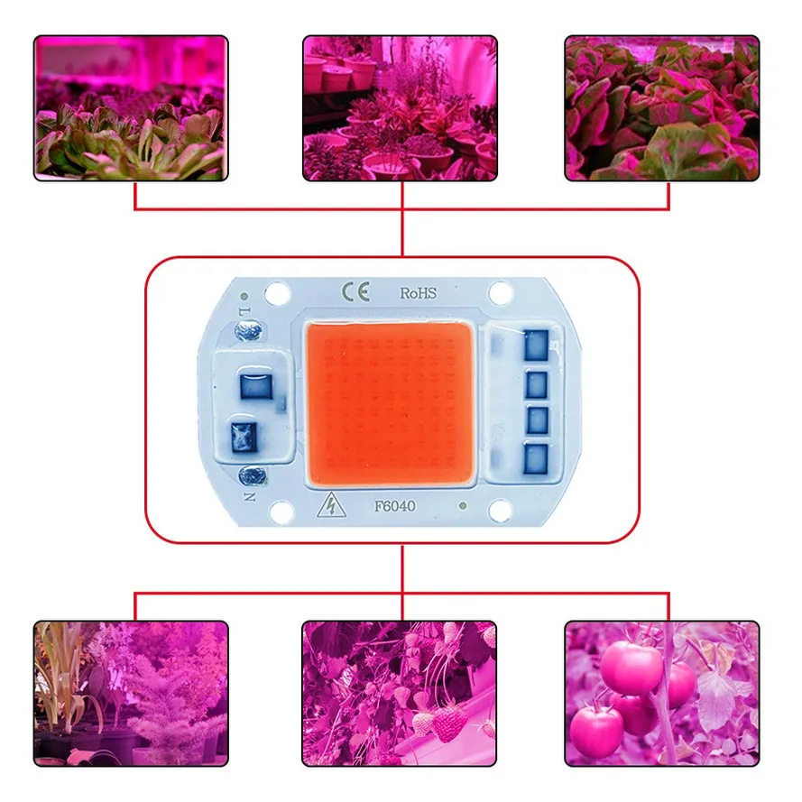 AvvRxx COB Led Grow Light Lamp Chip Full Spectrum 20W 30W 50W 380-780nm Phyto Lamp For Indoor Plant Seedling Flower Fitolampy