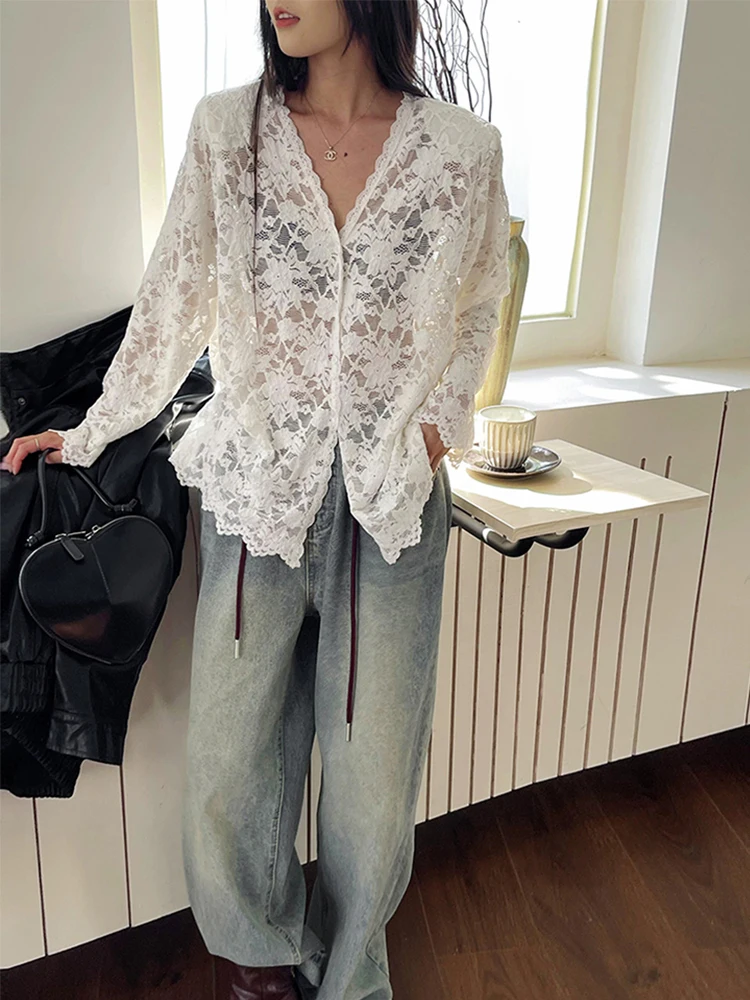 

2024 Autumn Gentle Style V Neck Hollow Out Crochet Lace Blouse for Women Long Sleeve Chic Shirt Unique Trendy Fashionable Top