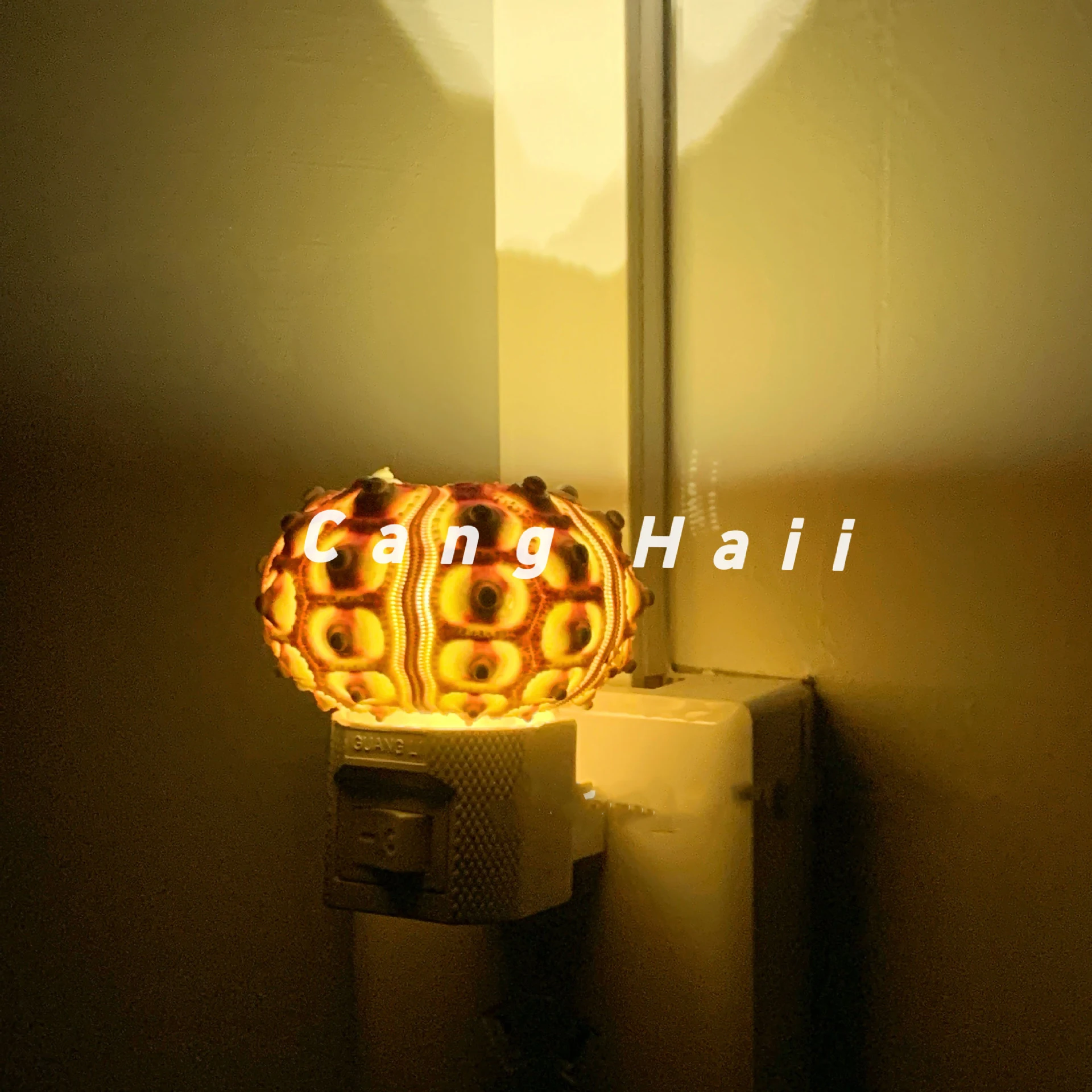 New Lantern Sea Urchin Lamp Retro Sea Urchin Night Light Natural Sea Urchin Shell Decorative Ornaments Kids Bedroom Decor Lamp