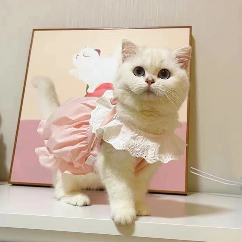 white christmas dresses Little Princess Cat Dress