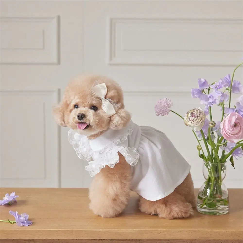 

Comfortable Lace Ruffle Dog Princess Dress Soft Fashion Cat Flying Sleeve Skirt Breathable Pet Clothes for Puppy Cats