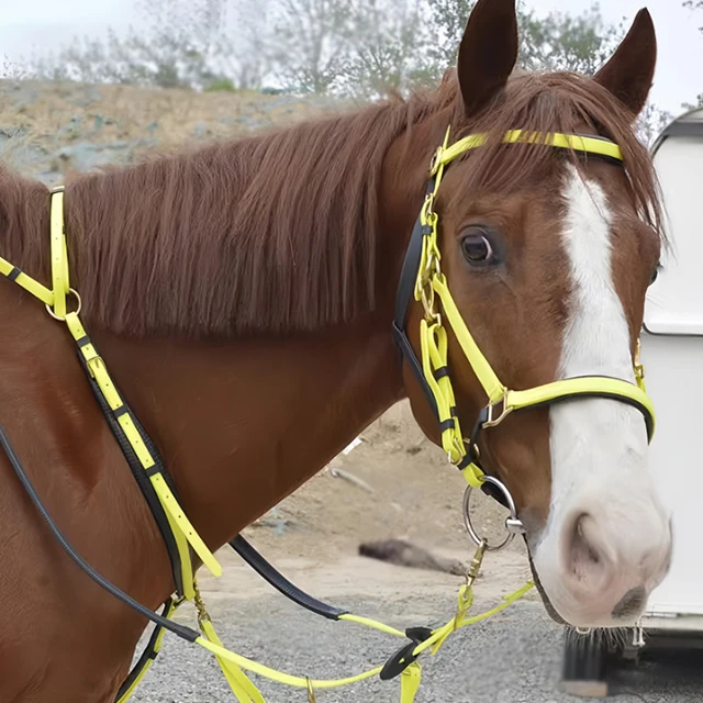 

Horse Leather Halter Nylon Miniature Show Western Saddle Fluffy PVC PP Adjustablearabian Soft Padded Rope From China