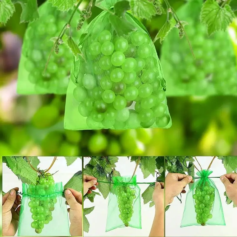 

100pcs/set Portable Fruit Bags for Fruit Trees Fruit Protector Net Cover with Drawstring Mesh Bag Green Netting Cover Bags