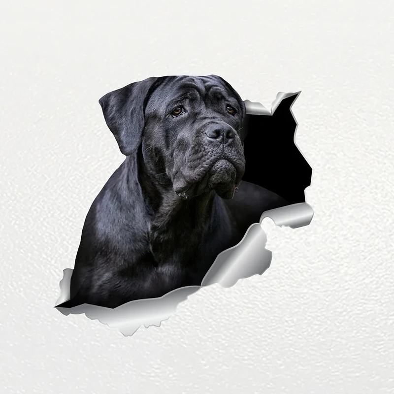 S62230# Car Sticker Cane Corso Dog Pet Animal Waterproof Vinyl Decal Car Accessories Decor Pegatinas Para Coche